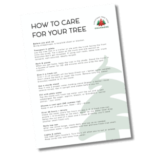 Tree Care Guide