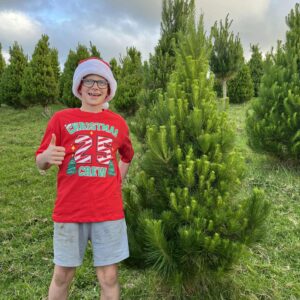 Small Christmas Tree | Under 6ft