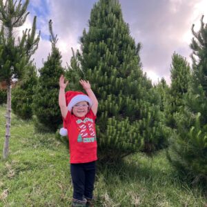 Classic Christmas Tree | 6-8 feet